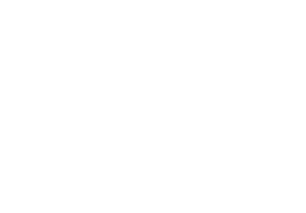 EconomizAI
